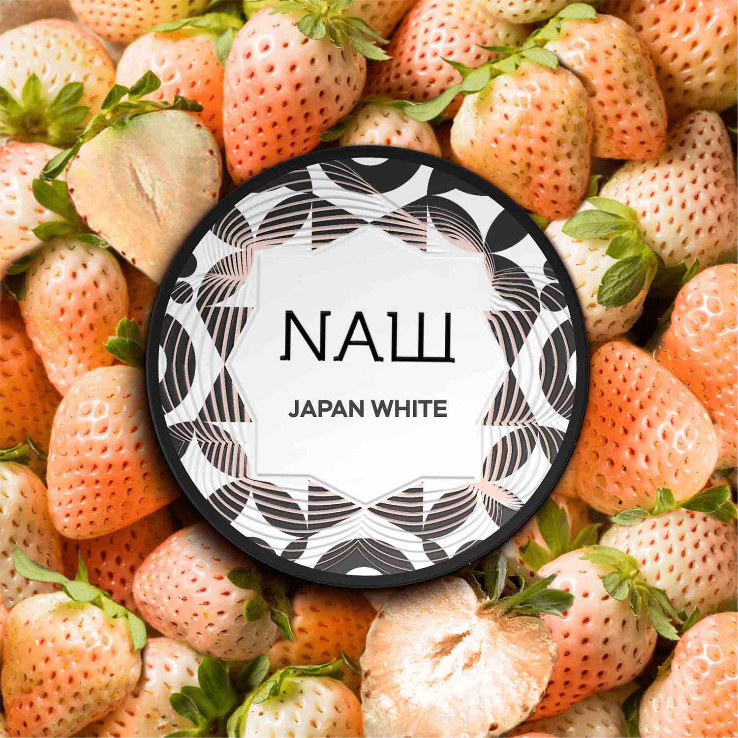Nasch Japan White 25g Shisha Tabak Nasch Japan White 25g Shisha Tabak