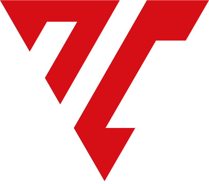 VYRO Logo